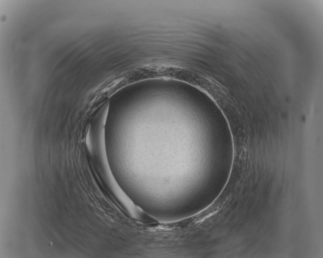 X0000084601014200703021619