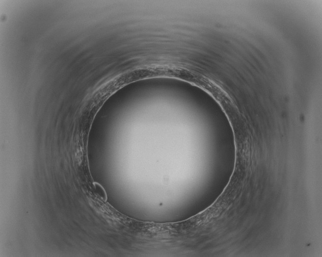 X0000084601015200703021619