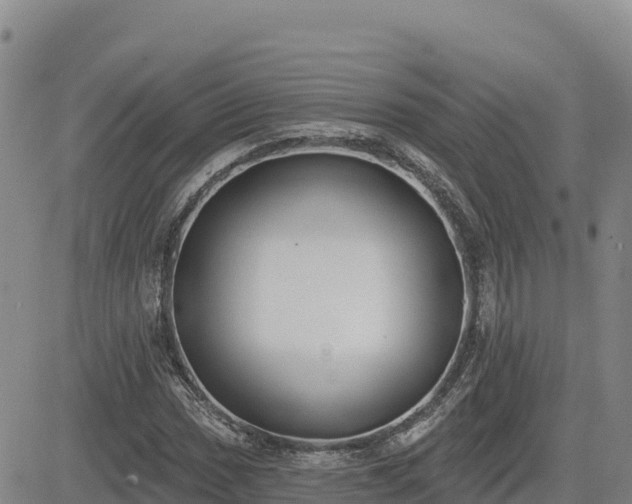 X0000084601017200703021619