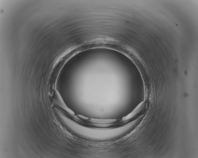 X0000084601018200703021620