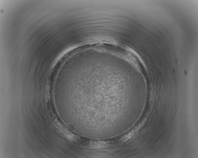 X0000084601019200703021620