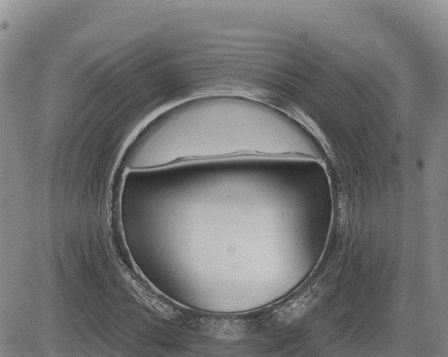 X0000084601020200703021620