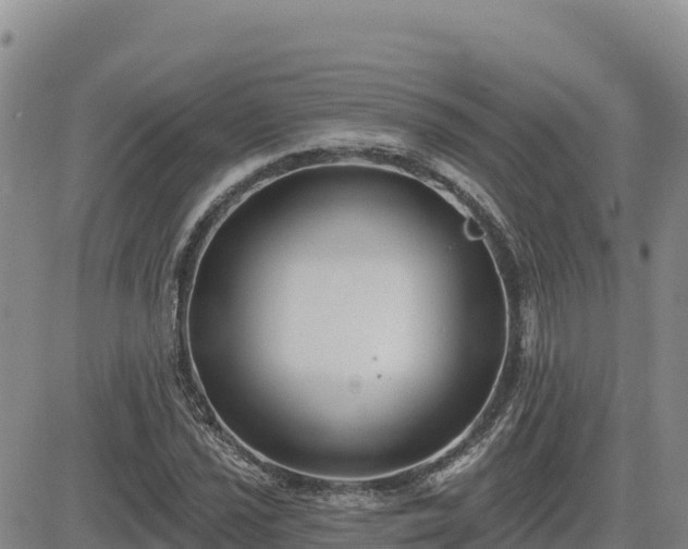 X0000084601021200703021620