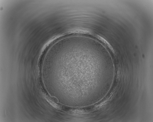 X0000084601027200703021620