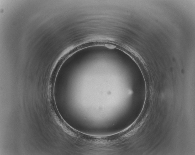 X0000084601029200703021620