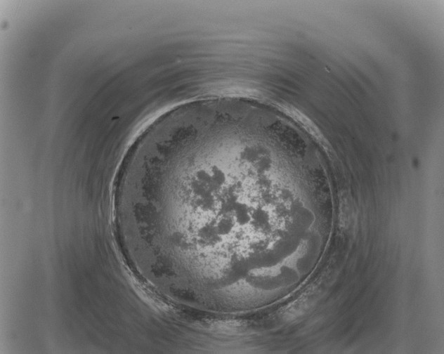 X0000084601031200703021620