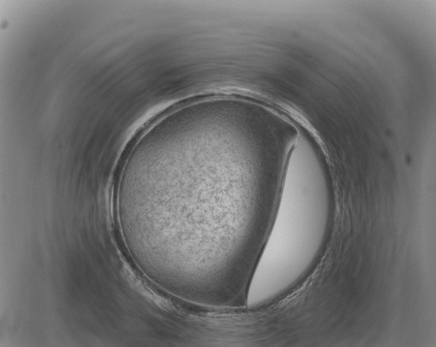 X0000084601032200703021620