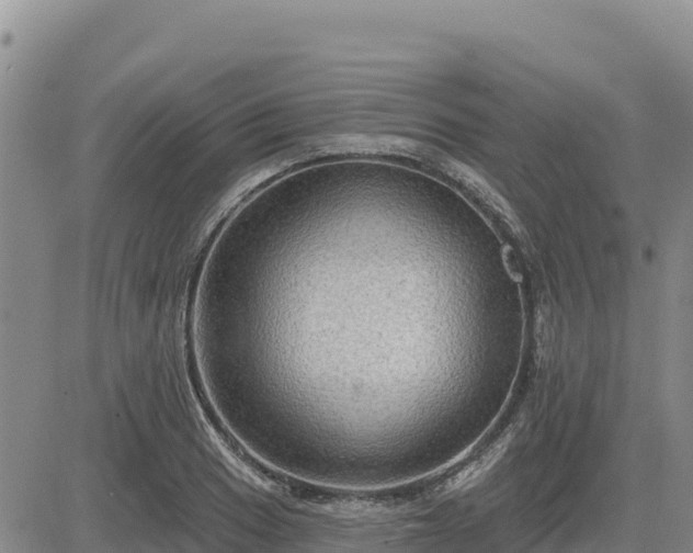 X0000084601033200703021620