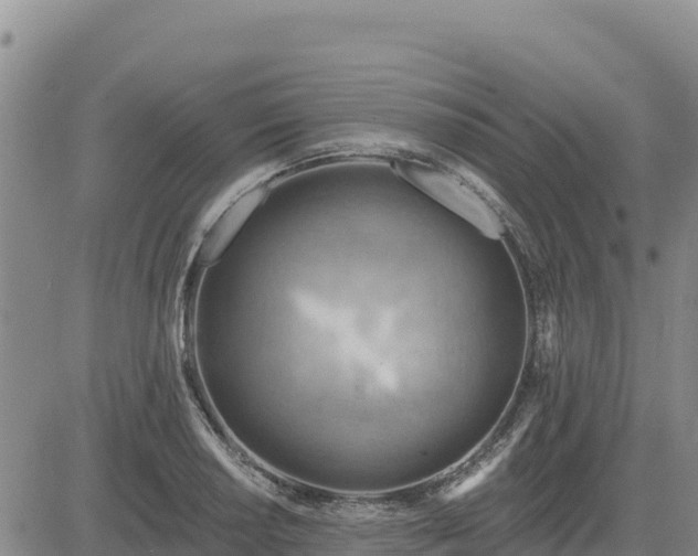 X0000084601034200703021620