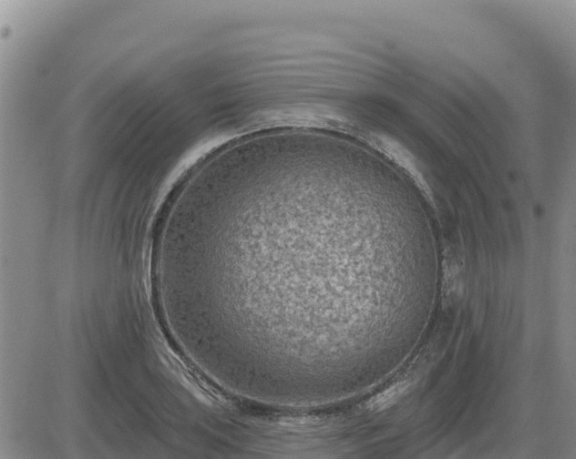 X0000084601035200703021620