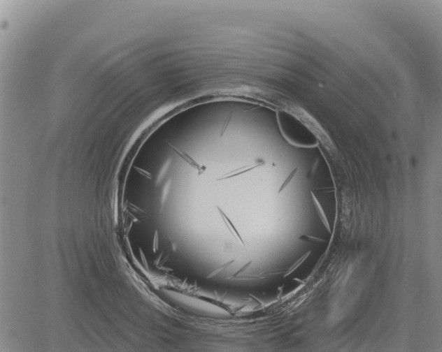 X0000084601036200703021620