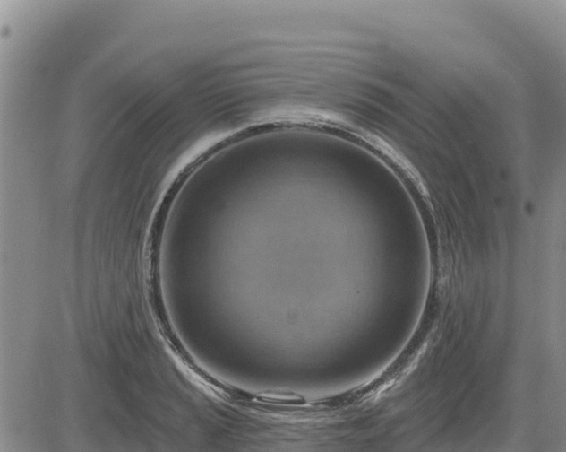 X0000084601037200703021620