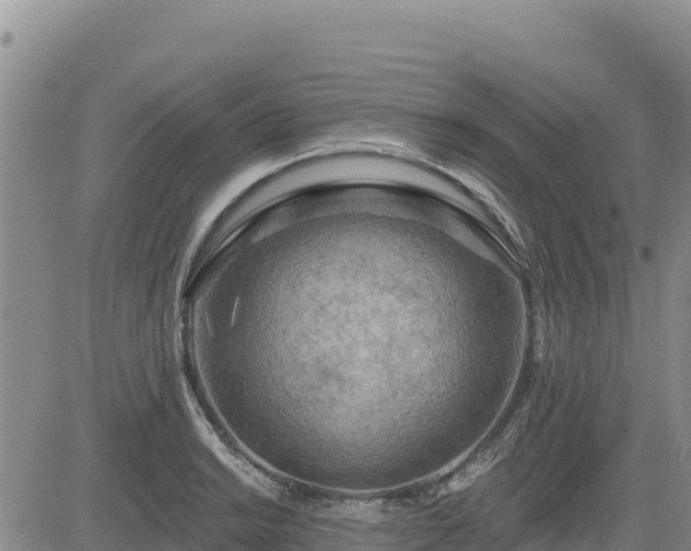 X0000084601038200703021620