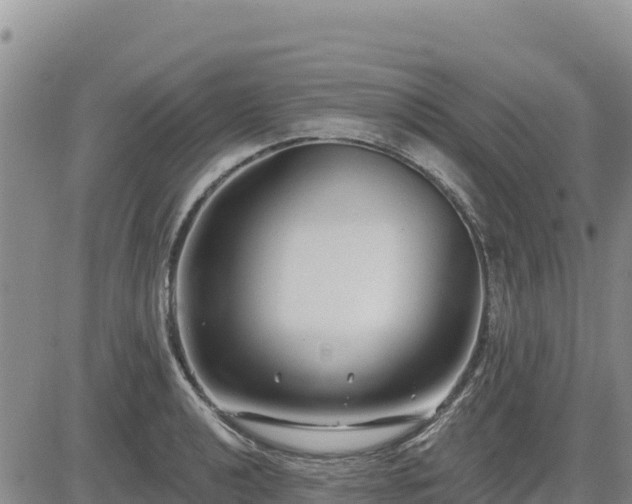 X0000084601040200703021620