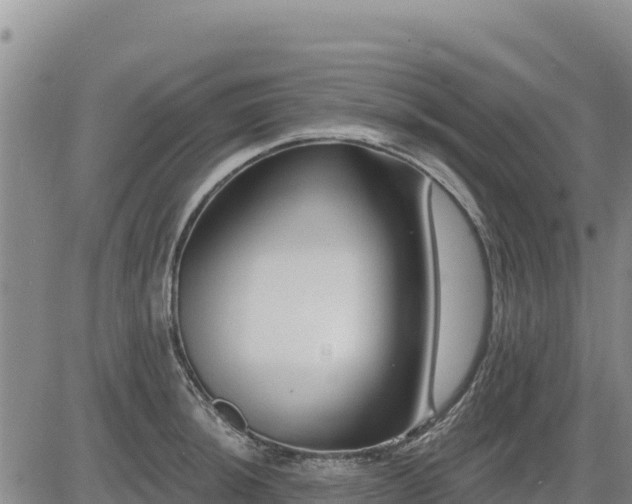 X0000084601044200703021620