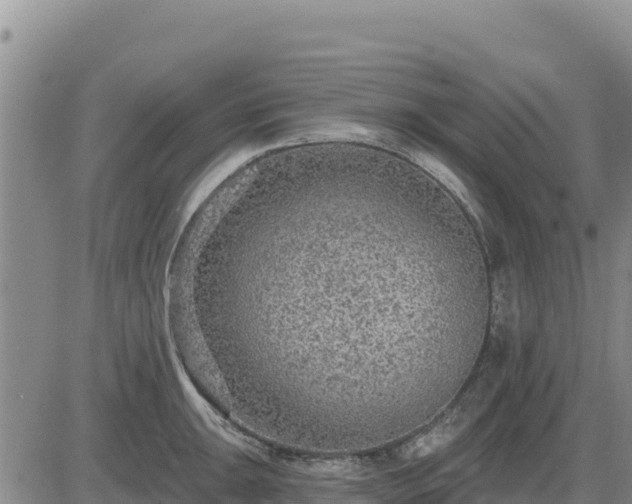 X0000084601047200703021620