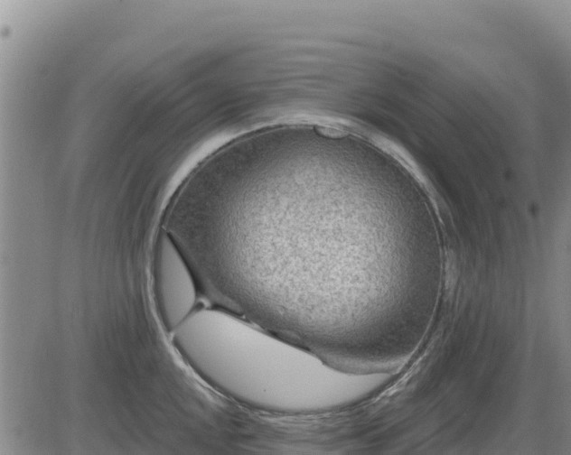 X0000084601048200703021620