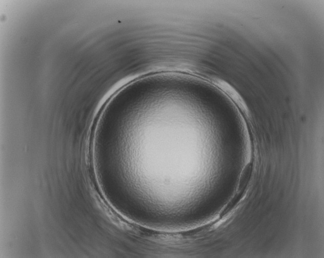 X0000084601052200703021620