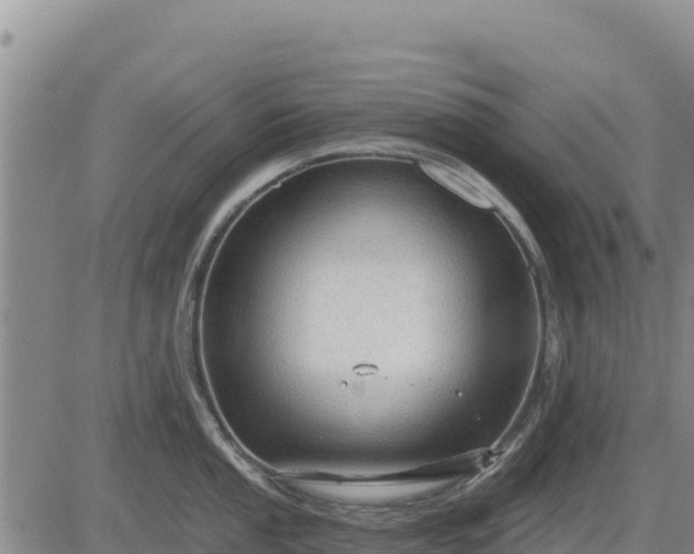 X0000084601053200703021620