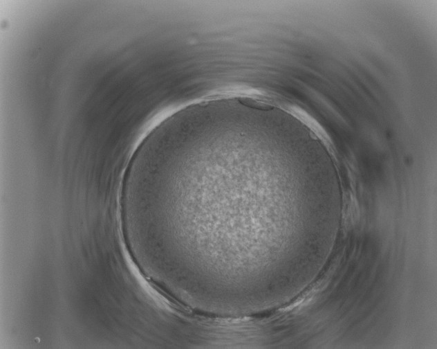 X0000084601055200703021620