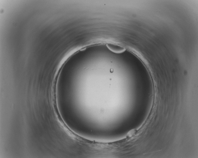 X0000084601056200703021620