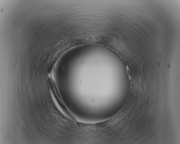 X0000084601058200703021619