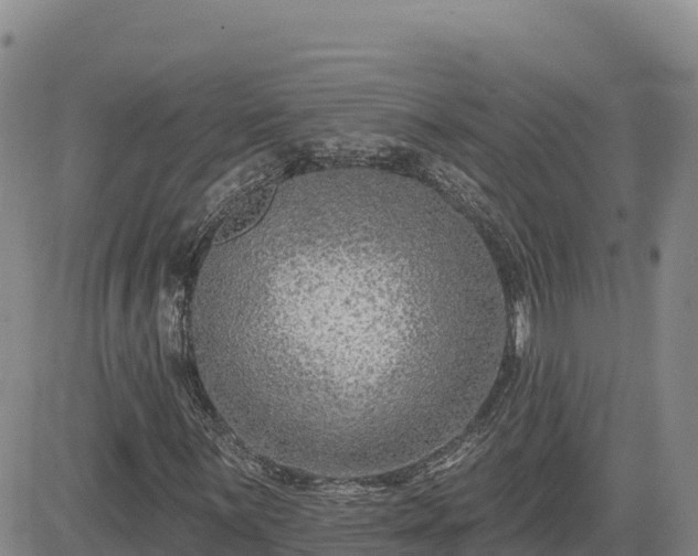 X0000084601059200703021619