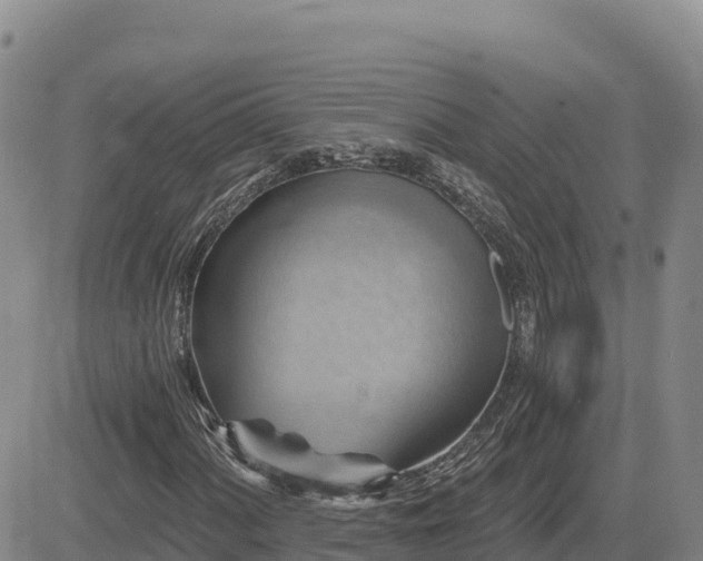 X0000084601060200703021619