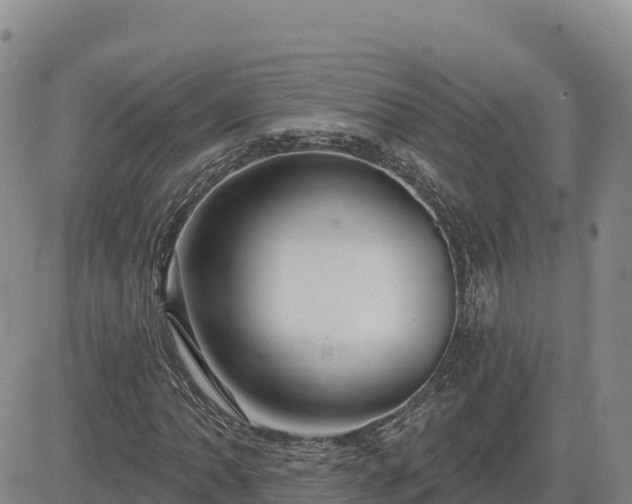 X0000084601062200703021619