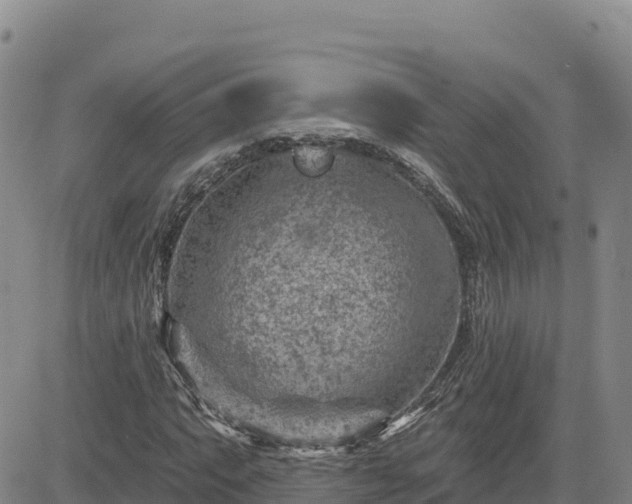 X0000084601063200703021619