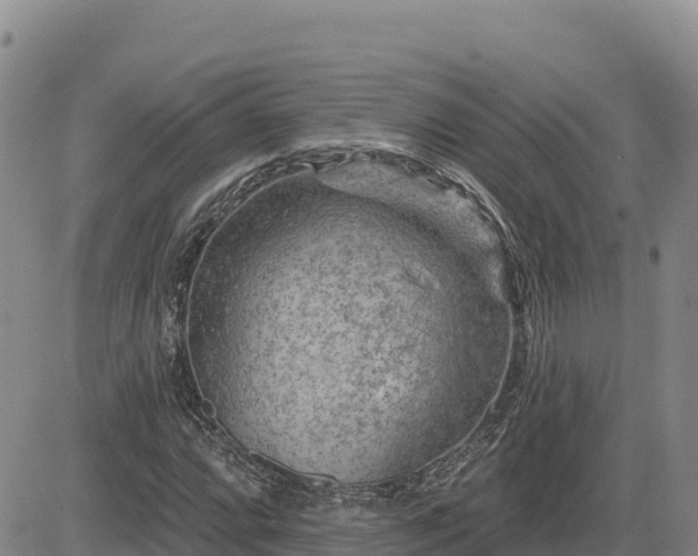 X0000084601064200703021619