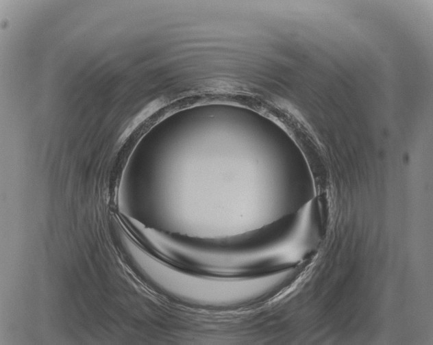 X0000084601065200703021619