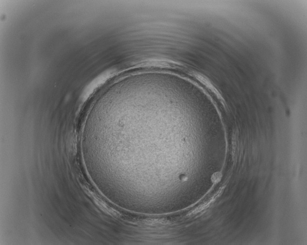 X0000084601067200703021619