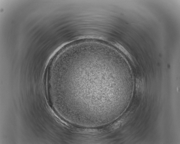 X0000084601068200703021619