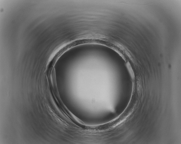 X0000084601069200703021619