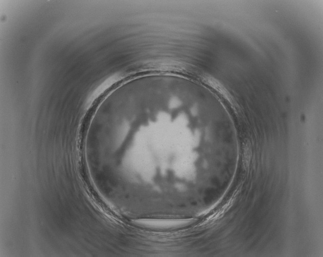 X0000084601071200703021619