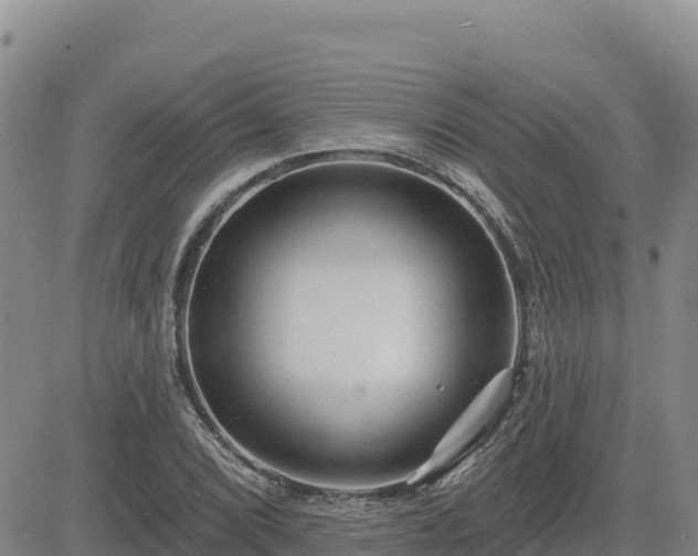 X0000084601072200703021619