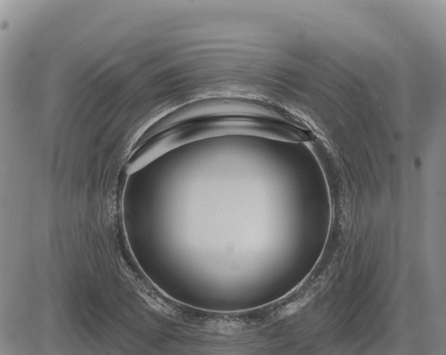 X0000084601073200703021619