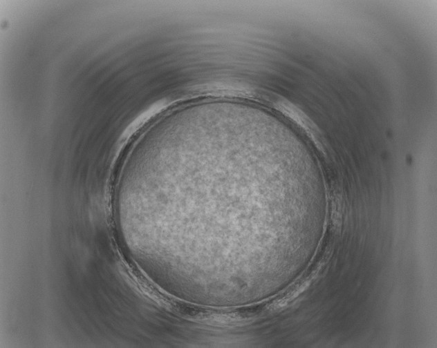 X0000084601074200703021619