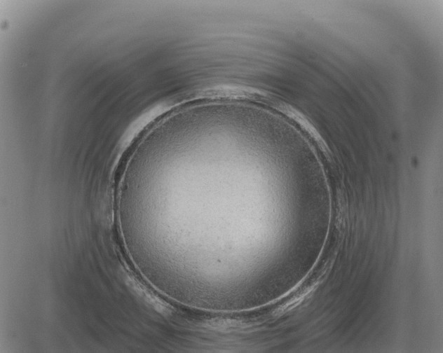 X0000084601075200703021619