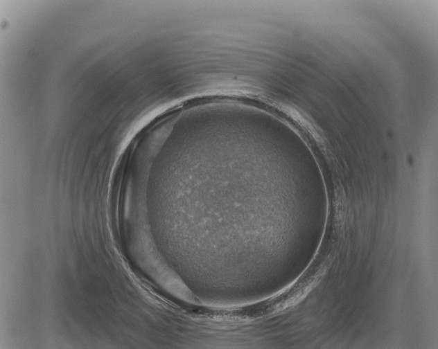 X0000084601077200703021619