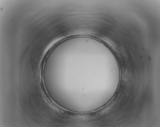 X0000084601078200703021619