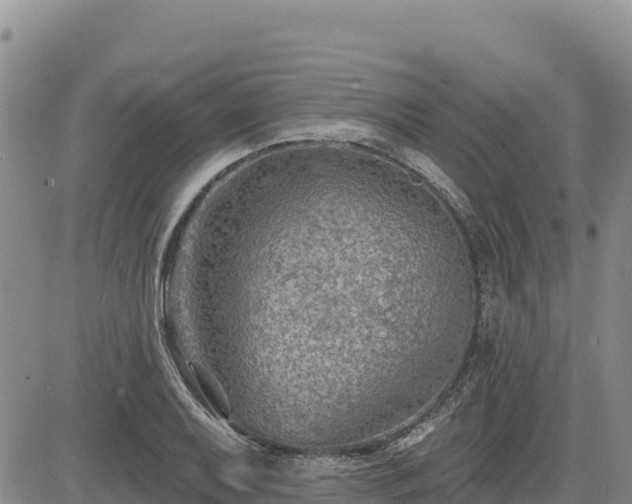 X0000084601079200703021619