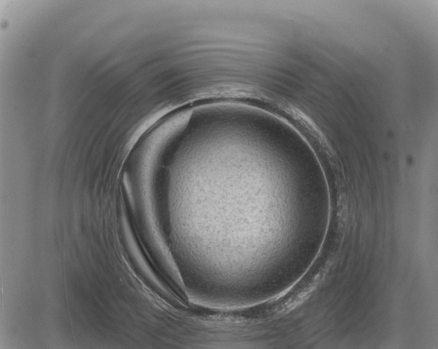 X0000084601081200703021619