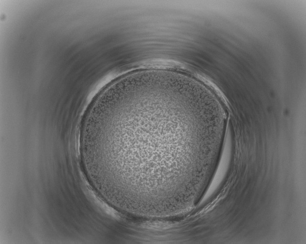 X0000084601083200703021619