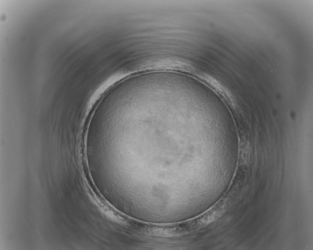 X0000084601086200703021619