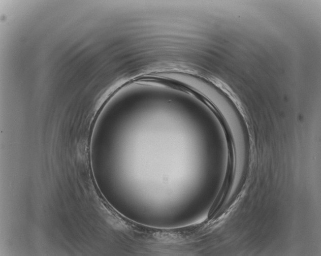 X0000084601089200703021619