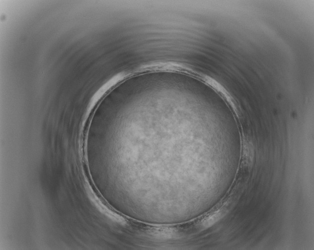 X0000084601090200703021619