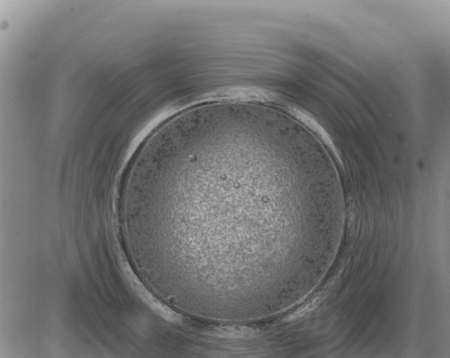 X0000084601091200703021619