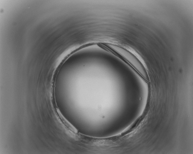 X0000084601093200703021619